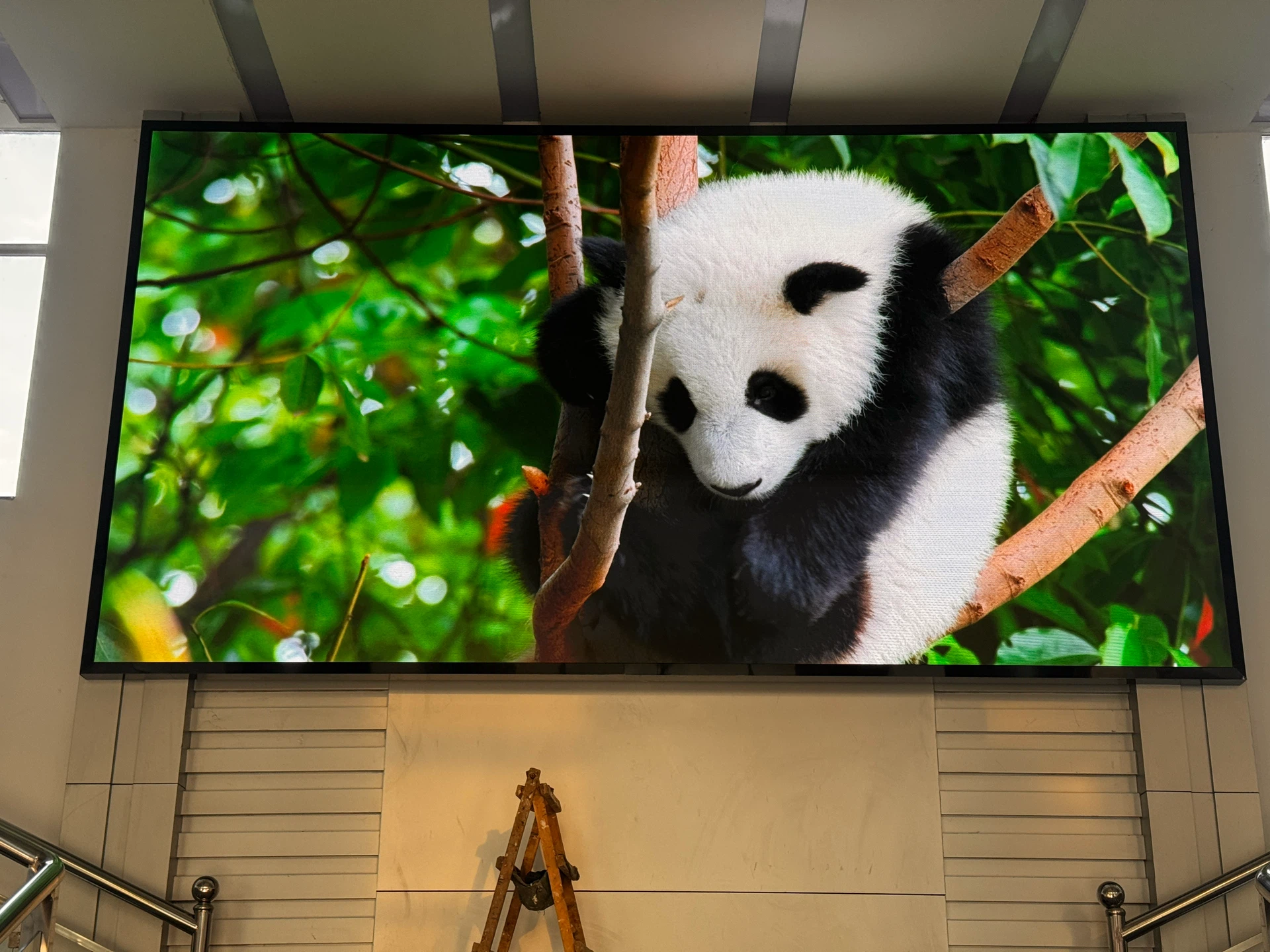 浉河港酒店婚庆会议P2.5 LED大屏 - 大屏显播放画面 - 嘉欣电子实拍
