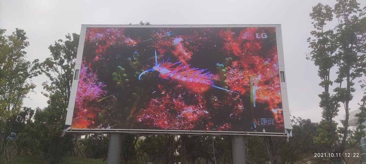 信阳植物园P6户外全彩LED显示屏 - 正面点亮效果 - 嘉欣电子实拍